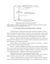 Ofšorai referatas 11 puslapis