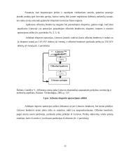 Ofšorai referatas 12 puslapis