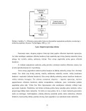 Ofšorai referatas 13 puslapis