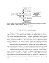 Ofšorai referatas 14 puslapis