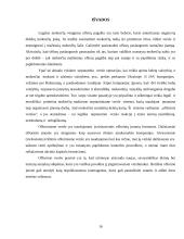 Ofšorai referatas 16 puslapis