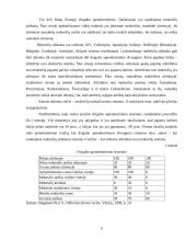 Ofšorai referatas 6 puslapis