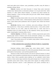 Ofšorai referatas 9 puslapis