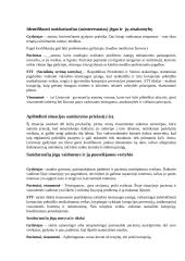 M. Velazguezo „Septynių žingsnių“ seka 3 puslapis