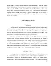 Lietuvos santykiai su kaimyninėmis šalimis 11 puslapis