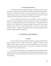 Lietuvos santykiai su kaimyninėmis šalimis 13 puslapis