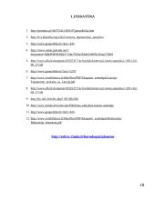 Lietuvos santykiai su kaimyninėmis šalimis 18 puslapis