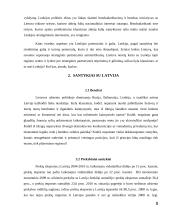 Lietuvos santykiai su kaimyninėmis šalimis 8 puslapis