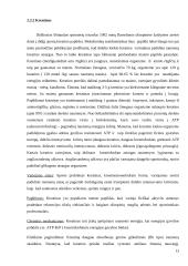 Kėdainių Šviesiosios gimnazijos mokinių požiūrio į sporto papildus tyrimas 13 puslapis