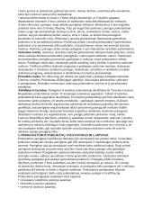 Prokuratūros vieta teisėsaugos institucijų sistemoje. Konspektas 5 puslapis