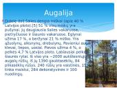 Latvijos Respublika 8 puslapis