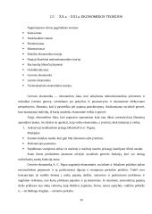 Ekonomikos teorijos 20 puslapis