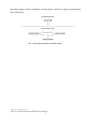 Ekonomikos teorijos 5 puslapis