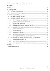 Teorijos, analizuojančios pagrindines finansų funkcijas 2 puslapis