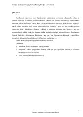 Teorijos, analizuojančios pagrindines finansų funkcijas 3 puslapis