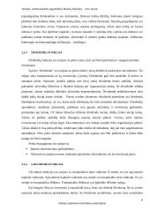 Teorijos, analizuojančios pagrindines finansų funkcijas 8 puslapis