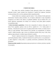 Gimnazijos kultūra darbuotojų požiūriu 4 puslapis