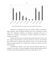 Gimnazijos kultūra darbuotojų požiūriu 9 puslapis