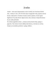 Joninės - šventė 3 puslapis