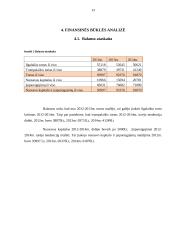 Investicijų valdymo seminaras 13 puslapis