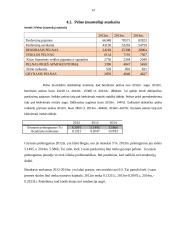 Investicijų valdymo seminaras 14 puslapis