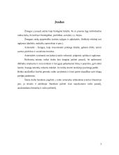 Vaiko asmenybės psichologinė charakteristika 3 puslapis