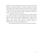 Vaiko asmenybės psichologinė charakteristika 6 puslapis