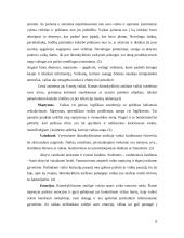 Vaiko asmenybės psichologinė charakteristika 8 puslapis