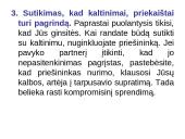 Konfliktai. Skaidrės 12 puslapis