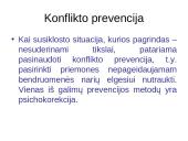 Konfliktai. Skaidrės 15 puslapis