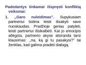 Konfliktai. Skaidrės 10 puslapis