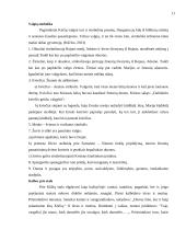 Rudens ir žiemos kalendorinės šventės 11 puslapis