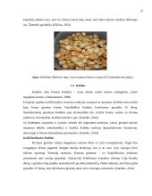 Rudens ir žiemos kalendorinės šventės 13 puslapis