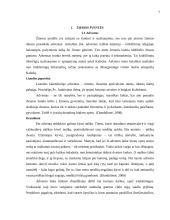 Rudens ir žiemos kalendorinės šventės 7 puslapis