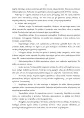 Asmeninio pardavimo privalumai, trūkumai 12 puslapis