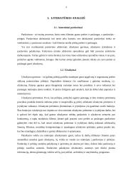 Asmeninio pardavimo privalumai, trūkumai 4 puslapis