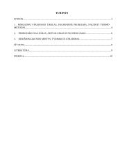 Socialinė antreprenerystė ir įmonių socialinė atsakomybė 2 puslapis