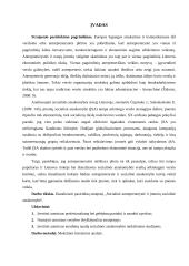 Socialinė antreprenerystė ir įmonių socialinė atsakomybė 3 puslapis