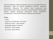 Juozas Tumas-Vaižgantas ir jo kūryba 14 puslapis