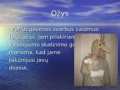 Užgavėnės skaidrės 14 puslapis