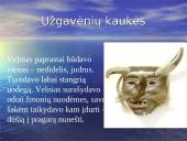 Užgavėnės skaidrės 15 puslapis