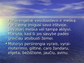 Užgavėnės skaidrės 18 puslapis