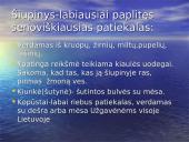 Užgavėnės skaidrės 8 puslapis