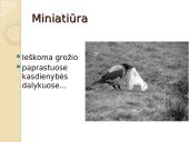 Miniatiūros rašymas 12 puslapis