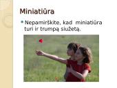 Miniatiūros rašymas 13 puslapis