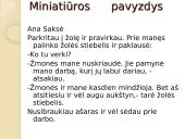 Miniatiūros rašymas 18 puslapis