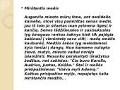 Miniatiūros rašymas 19 puslapis