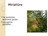 Miniatiūros rašymas 6 puslapis