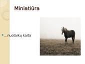 Miniatiūros rašymas 8 puslapis