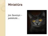 Miniatiūros rašymas 9 puslapis